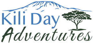 Kili Day Adventures website logo-01