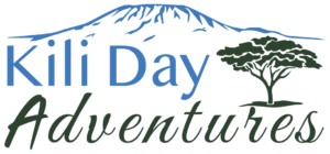 kili-day-adventures-logo